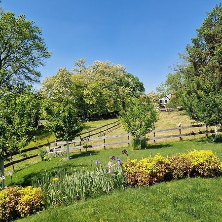 Gite Terre D'Helene 4 A 5 Pers Proche Strasbourg 42 M2, 3 Etoiles, Wifi, Paisible, Jardin, Proche Commerces,16 Atouts, Animaux Acceptes Berstett 외부 사진