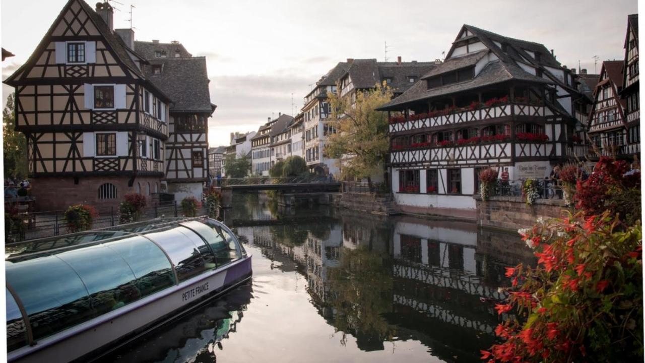 Gite Terre D'Helene 4 A 5 Pers Proche Strasbourg 42 M2, 3 Etoiles, Wifi, Paisible, Jardin, Proche Commerces,16 Atouts, Animaux Acceptes Berstett 외부 사진