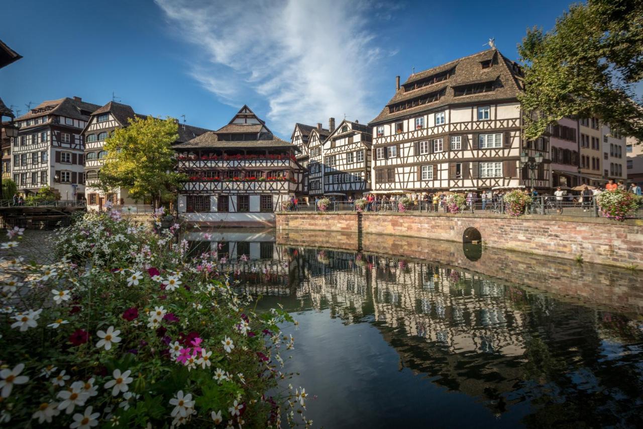 Gite Terre D'Helene 4 A 5 Pers Proche Strasbourg 42 M2, 3 Etoiles, Wifi, Paisible, Jardin, Proche Commerces,16 Atouts, Animaux Acceptes Berstett 외부 사진