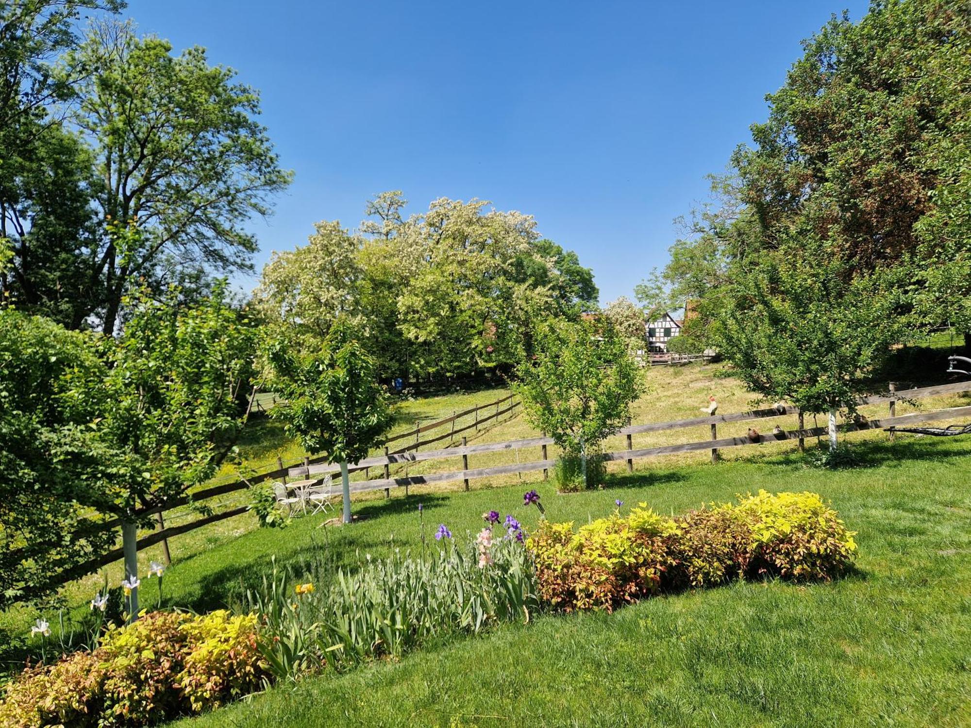 Gite Terre D'Helene 4 A 5 Pers Proche Strasbourg 42 M2, 3 Etoiles, Wifi, Paisible, Jardin, Proche Commerces,16 Atouts, Animaux Acceptes Berstett 외부 사진